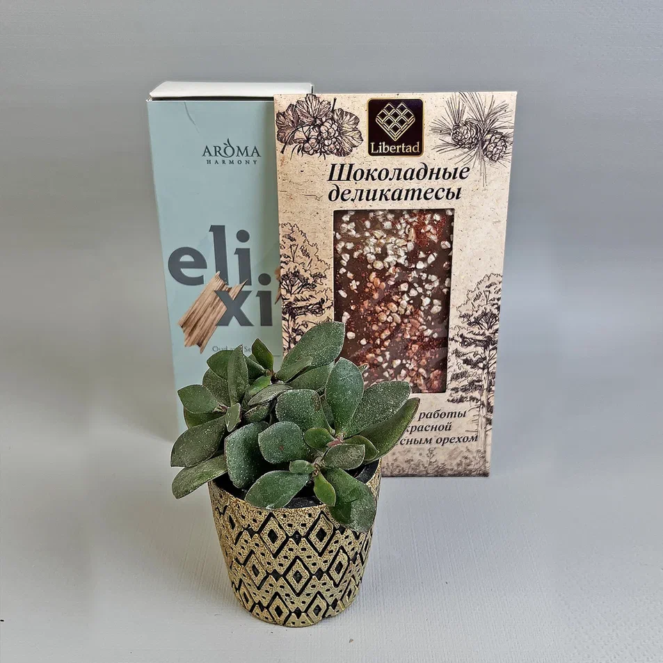 Подарочный набор "Тепла и уюта" аромадиффузор, цветок, шоколад 69389