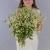 Букет из мелких кустовых ромашек танацетумов арт. 50581