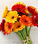 Гербера ПОШТУЧНО N 22