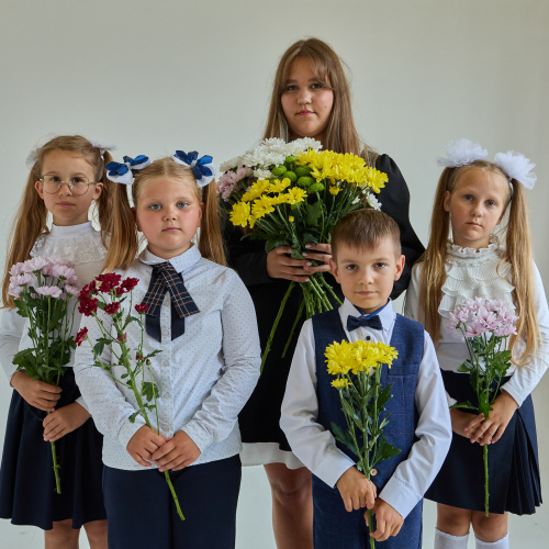 Хризантема кустовая МИКС ПОШТУЧНО Арт 19-Микс