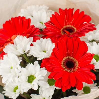 Букет из герберы и хризантемы N 50492