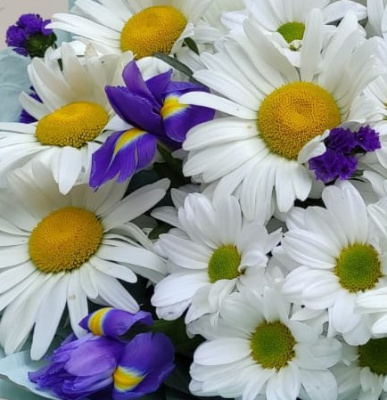 Букет из ромашек с ирисами "За облаками небо". N 36290