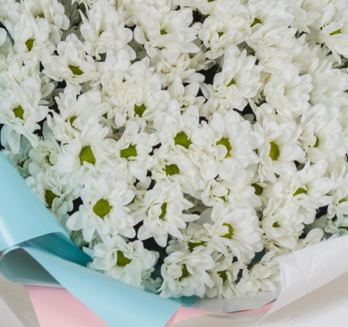 Букет-гигант из 15 хризантем 36151