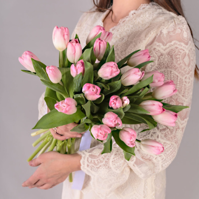 Букет из 25 розовых тюльпанов (без упаковки) 7338